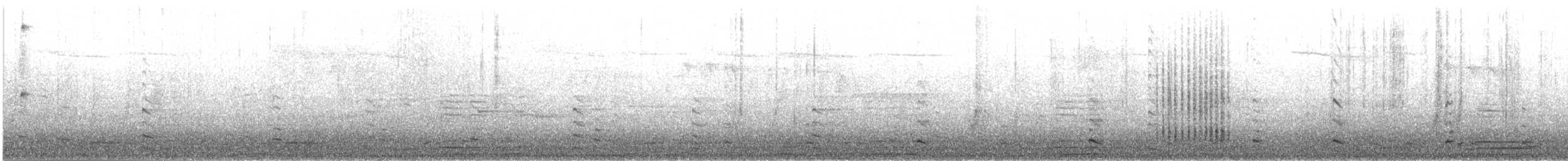 Kopetazuri arrunta - ML638989790