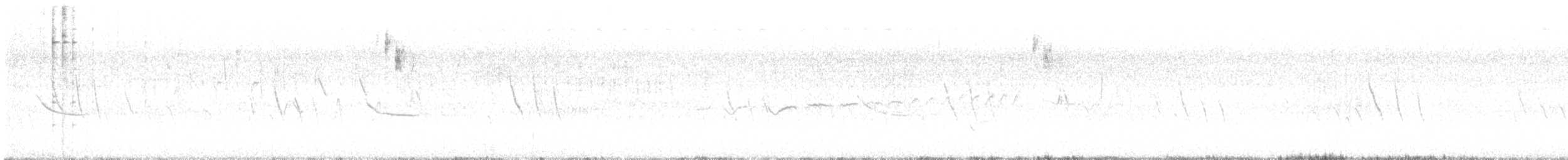 ヘンスローヒメドリ - ML638992570