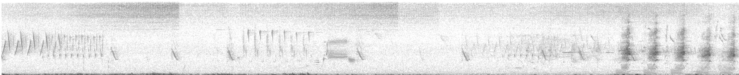 Virginia Rail - ML638993960