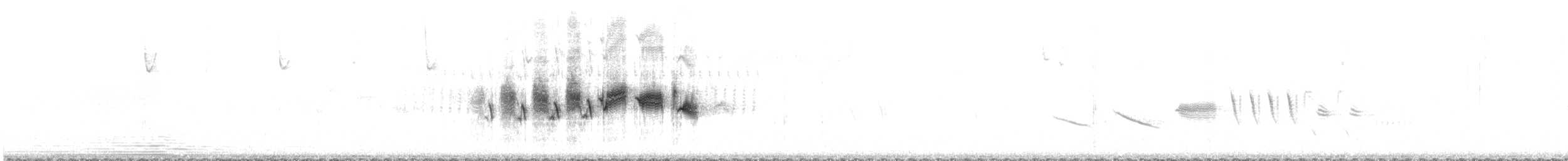 Paruline grise - ML638994456