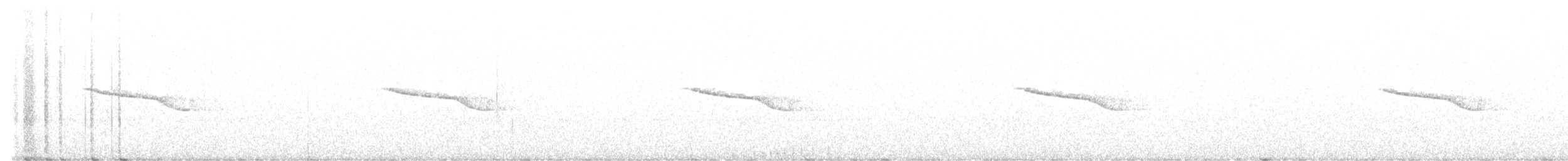 Breitspiegel-Nachtschwalbe - ML638994879