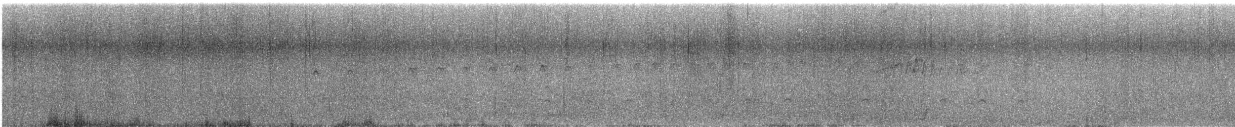 Pigeon Guillemot - ML638995400