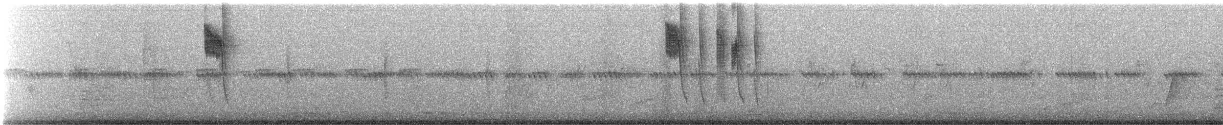 Rufous Hummingbird - ML638995440