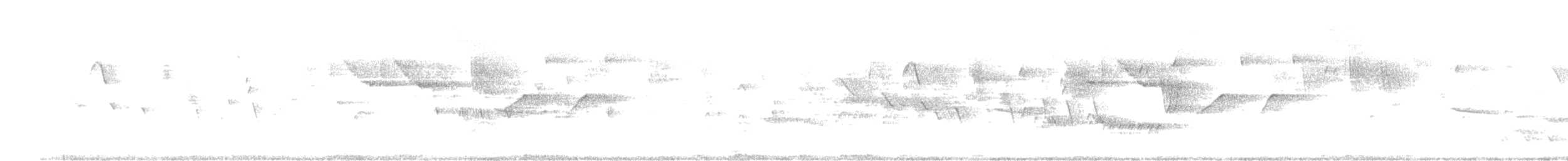Barred Antshrike (Barred) - ML638995840