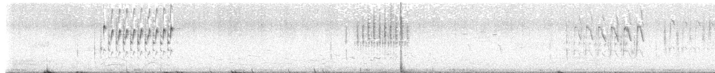 Sumpfzaunkönig [plesius-Gruppe] - ML638996287