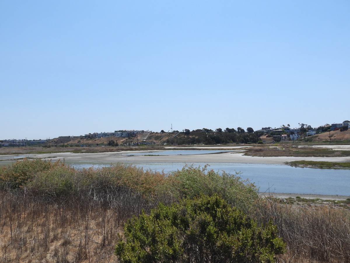 Nespecifikováno - Chris Dean