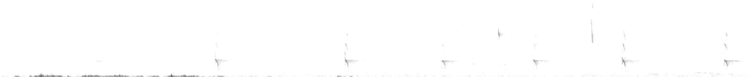 Декол плямистоволий - ML638997687