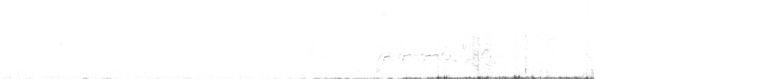 Саблеклювый древолаз - ML638997844