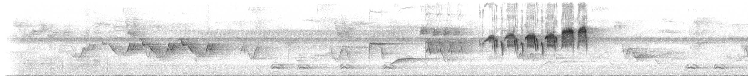 Northern Parula - ML638998105