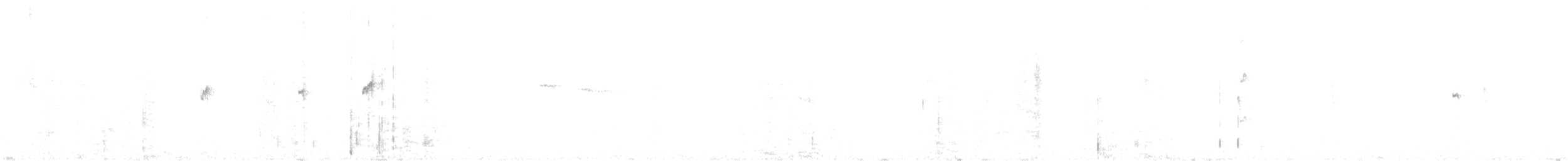 Straneck's Tyrannulet - ML638998111