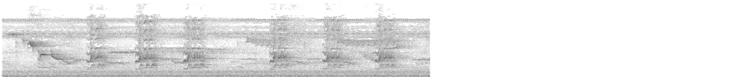gullnakkespett - ML638999453