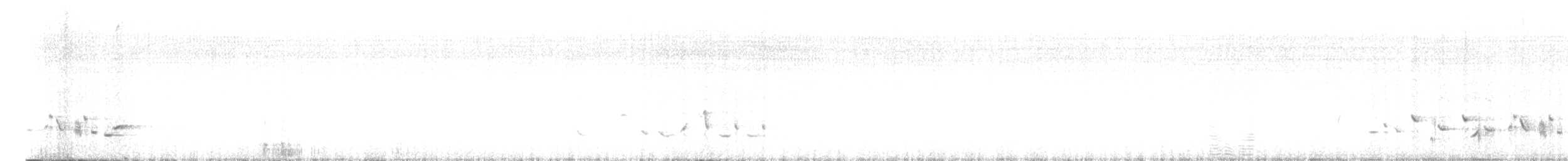 Scott's Oriole - ML638999507