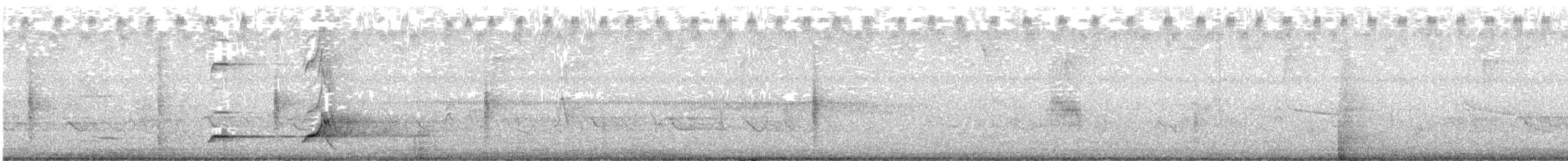 Northern Bobwhite - ML638999717