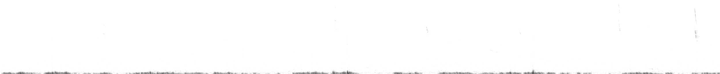 コバシマユシトド - ML638999991