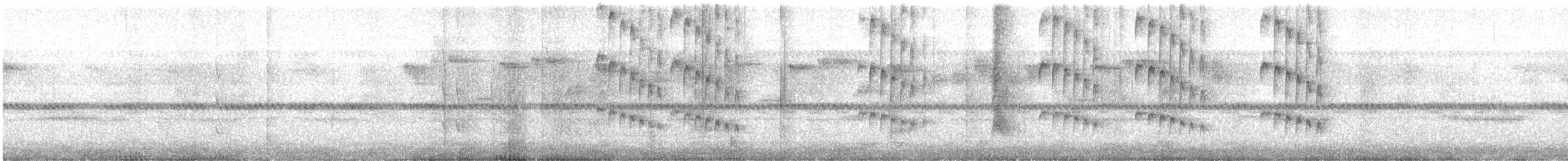 White-booted Racket-tail - ML639000283