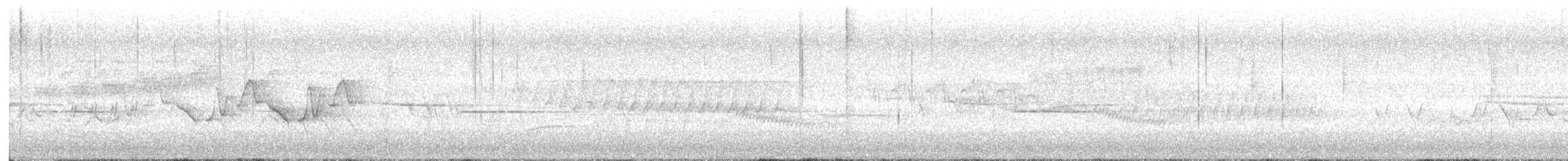 チャバラマユミソサザイ - ML639000314