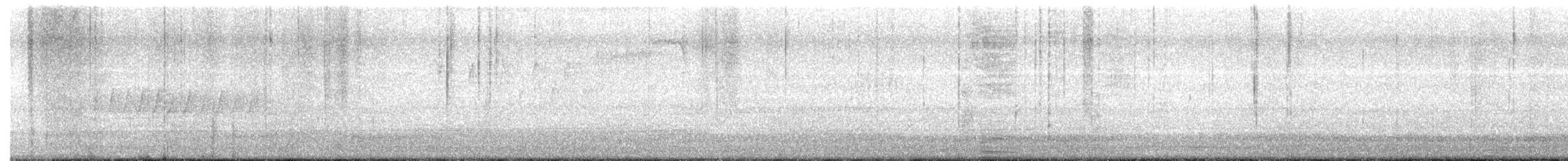 マツアメリカムシクイ - ML639000552