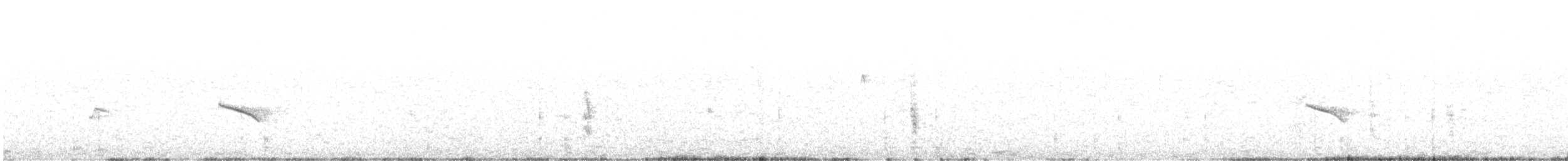 Checkered Woodpecker - ML639000608