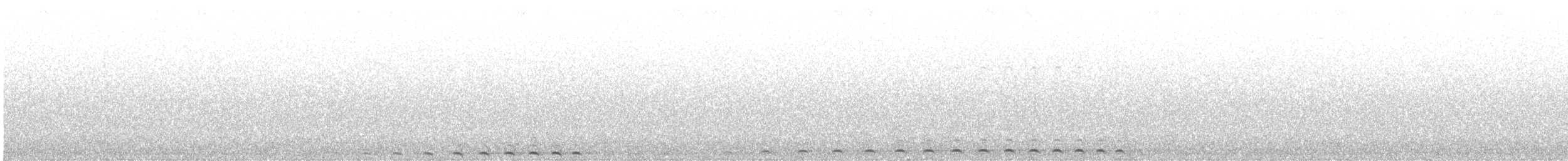 výreček západní - ML639000806