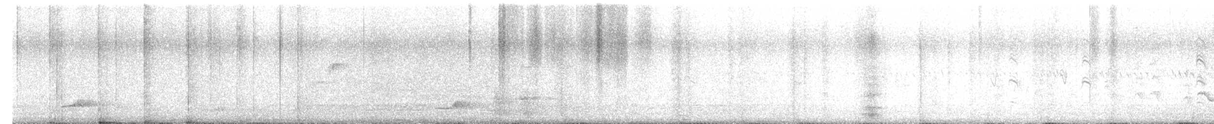 Western Flycatcher - ML639002527