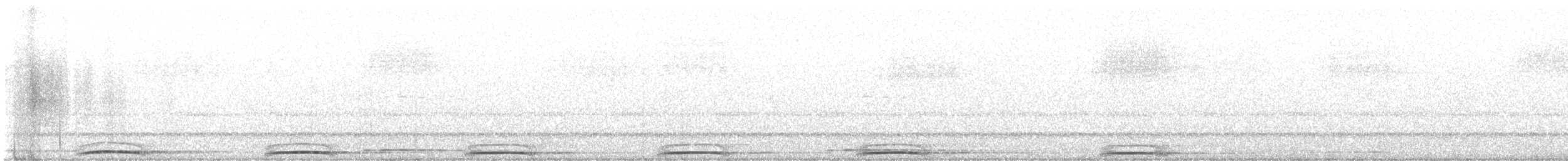 Rufous-banded Owl - ML639003742