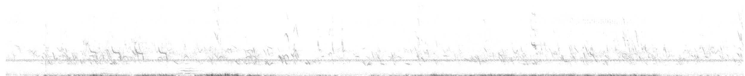 White-cheeked Honeyeater - ML639003869