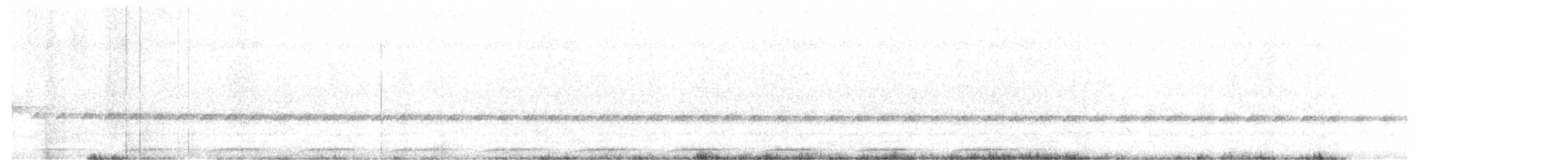 Wonga Pigeon - ML639004421