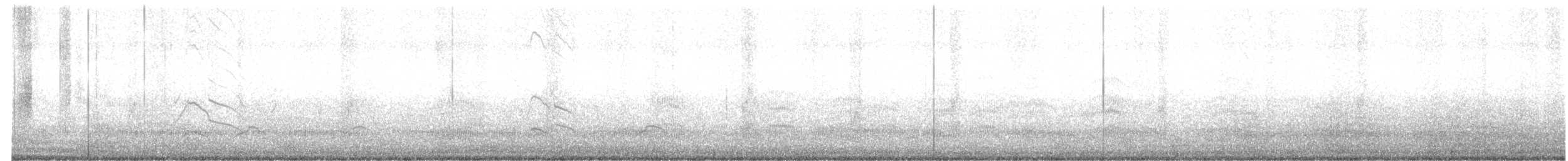 ústřičník proměnlivý - ML639005748
