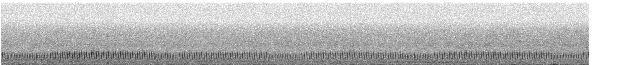 Nachtschwalbe - ML639005858