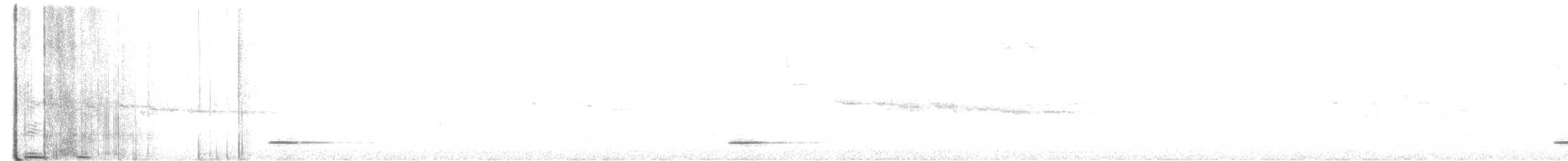 New Zealand Bellbird - ML639005945