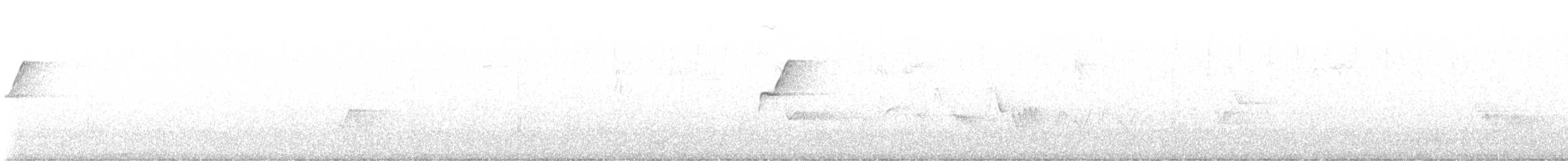 Western Flycatcher (Pacific-slope) - ML639005963