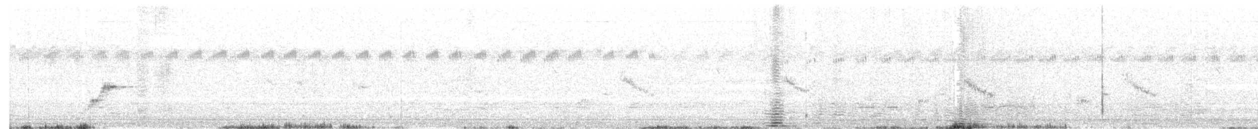 Chirruping Wedgebill - ML639006150