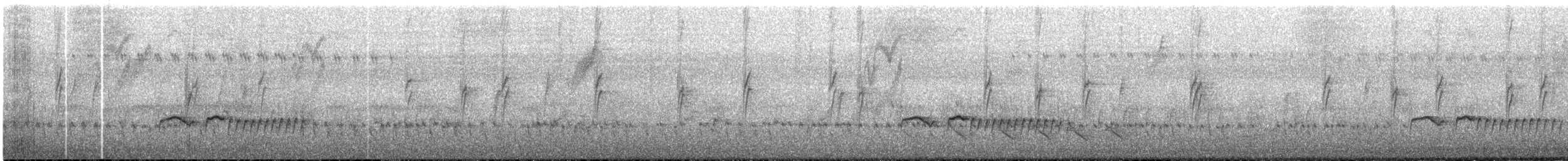 gråhodevireo - ML639007034