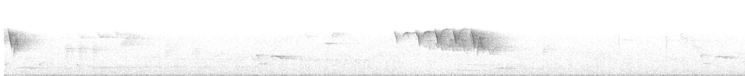 American Redstart - ML639007884