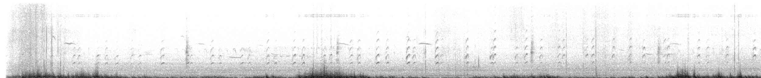 Black-necked Stilt - ML639008197