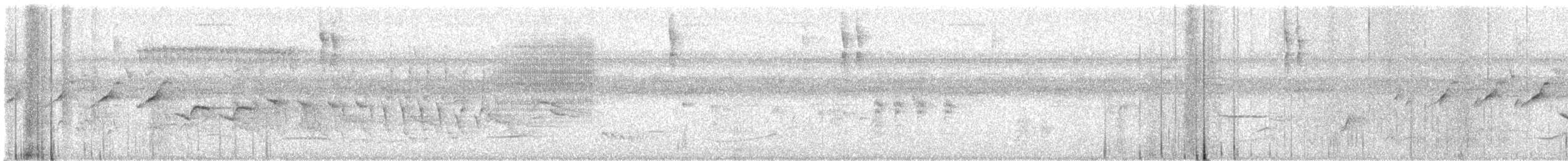 Morelet's Seedeater - ML639008819