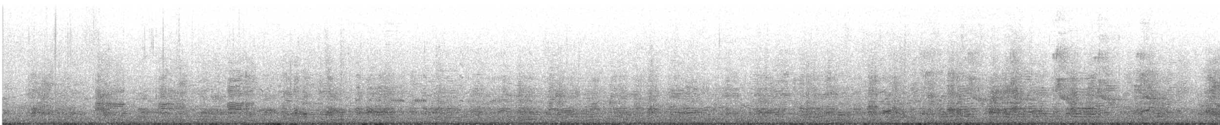 Australian Ibis - ML639009660