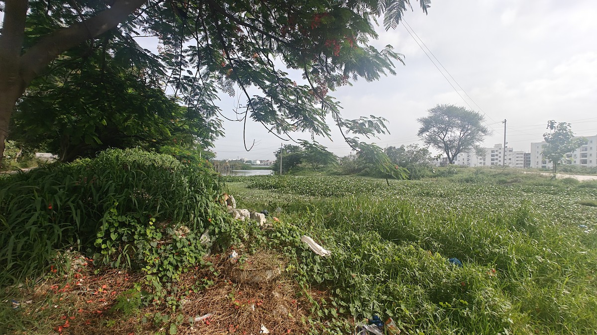 null - ML639009853