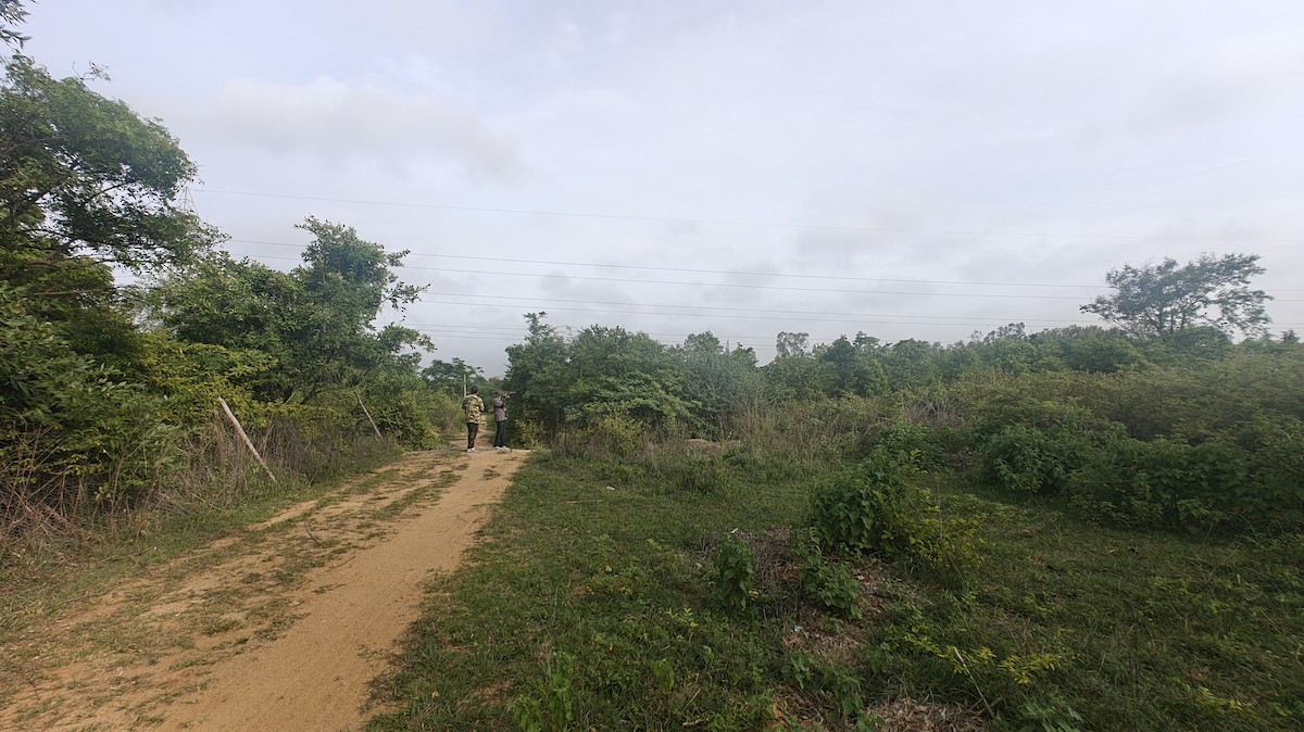 null - ML639010087
