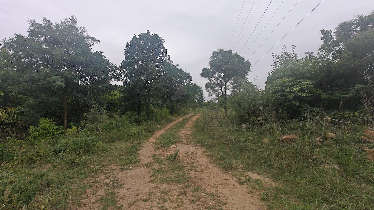 null - ML639010202