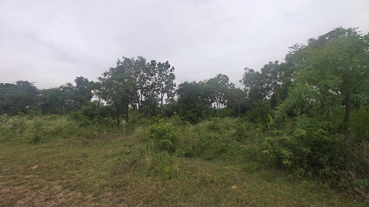 null - ML639010203