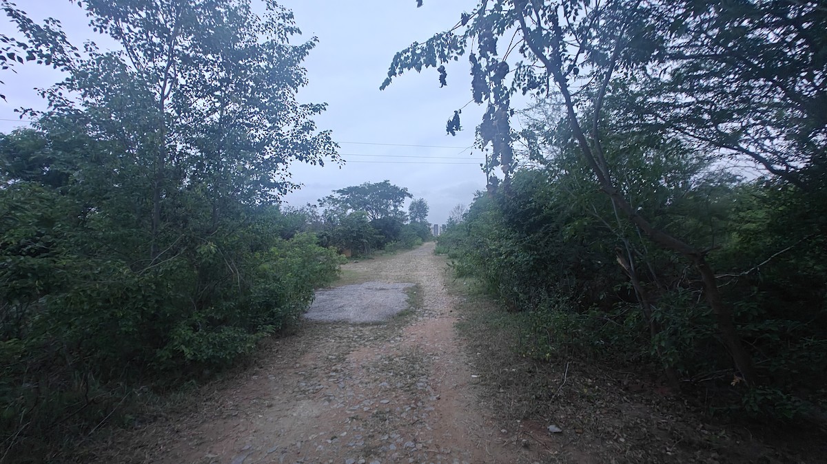 null - ML639010212