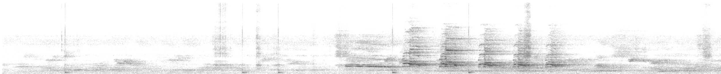 Red-naped Ibis - ML639013830