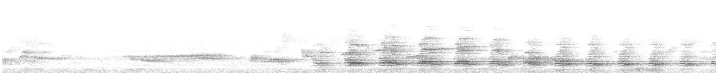 Red-naped Ibis - ML639013831