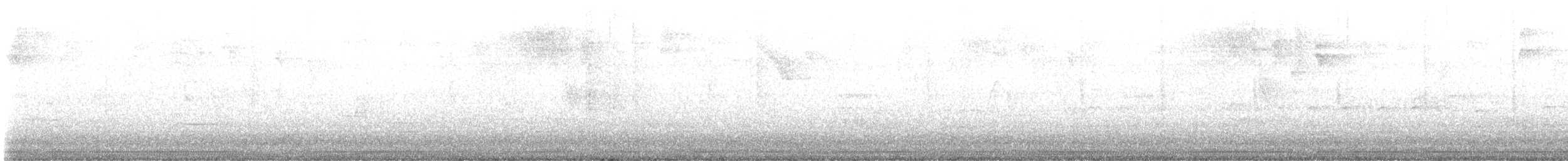 Adelaide's Warbler - ML639013879