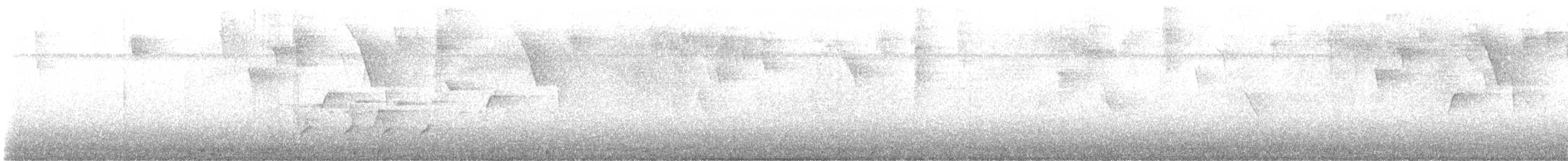 Black-whiskered Vireo - ML639013888