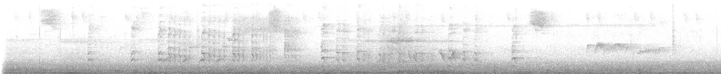 Puerto Rican Woodpecker - ML639013908