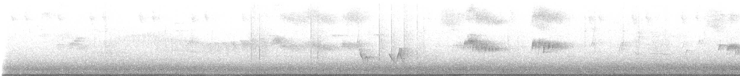 Black-whiskered Vireo - ML639013915
