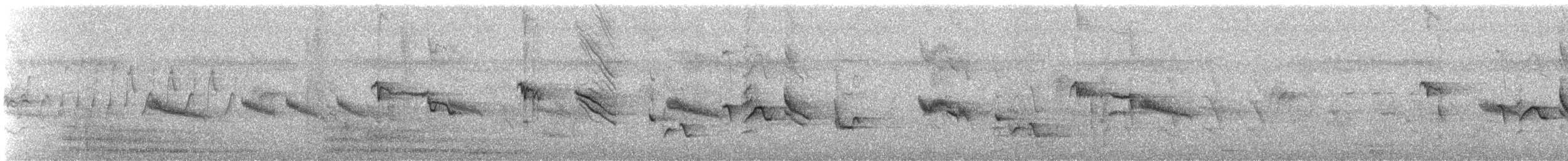 Oriental Magpie-Robin - ML639015690