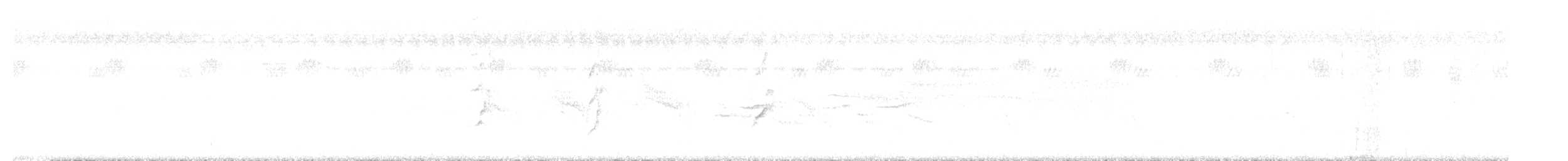 コセイインコ - ML639015782